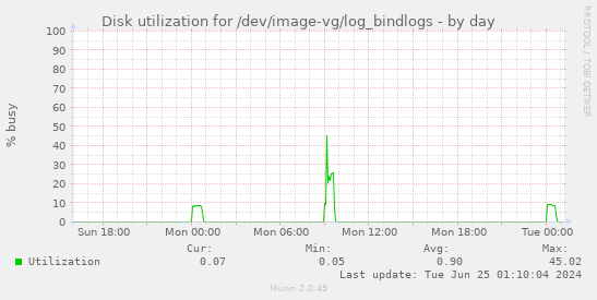 Disk utilization for /dev/image-vg/log_bindlogs